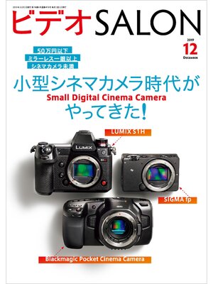cover image of ビデオ SALON (サロン) 2019年 12月号